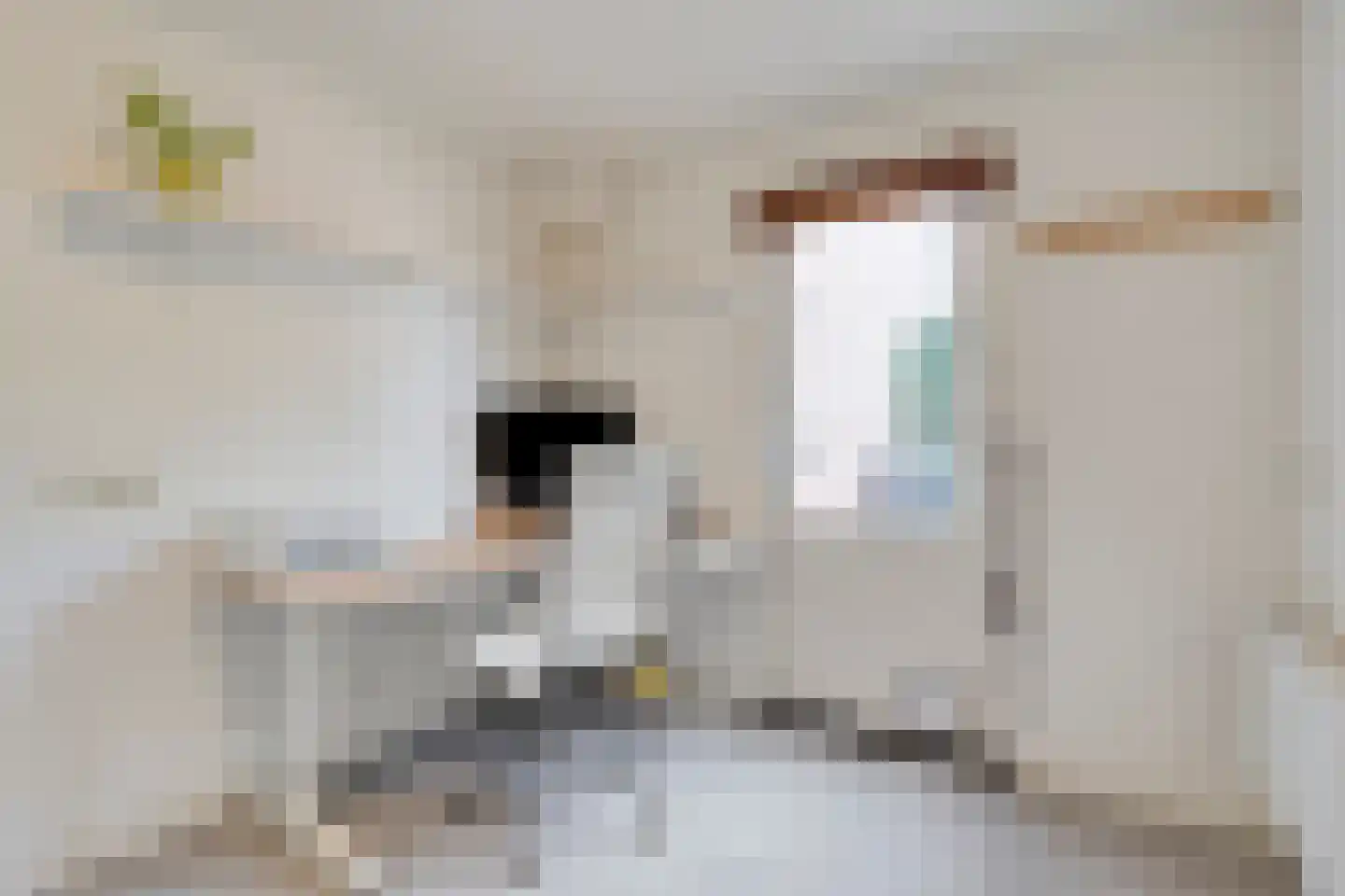 Turfeiker 3 Woubrugge thumbnail 17