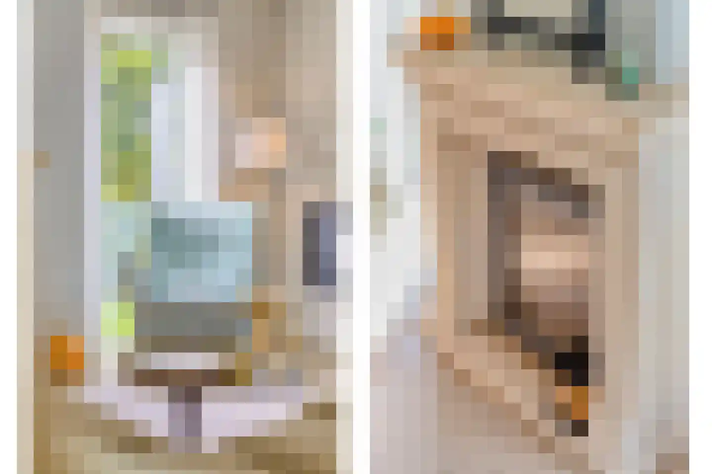 Turfeiker 3 Woubrugge thumbnail 19