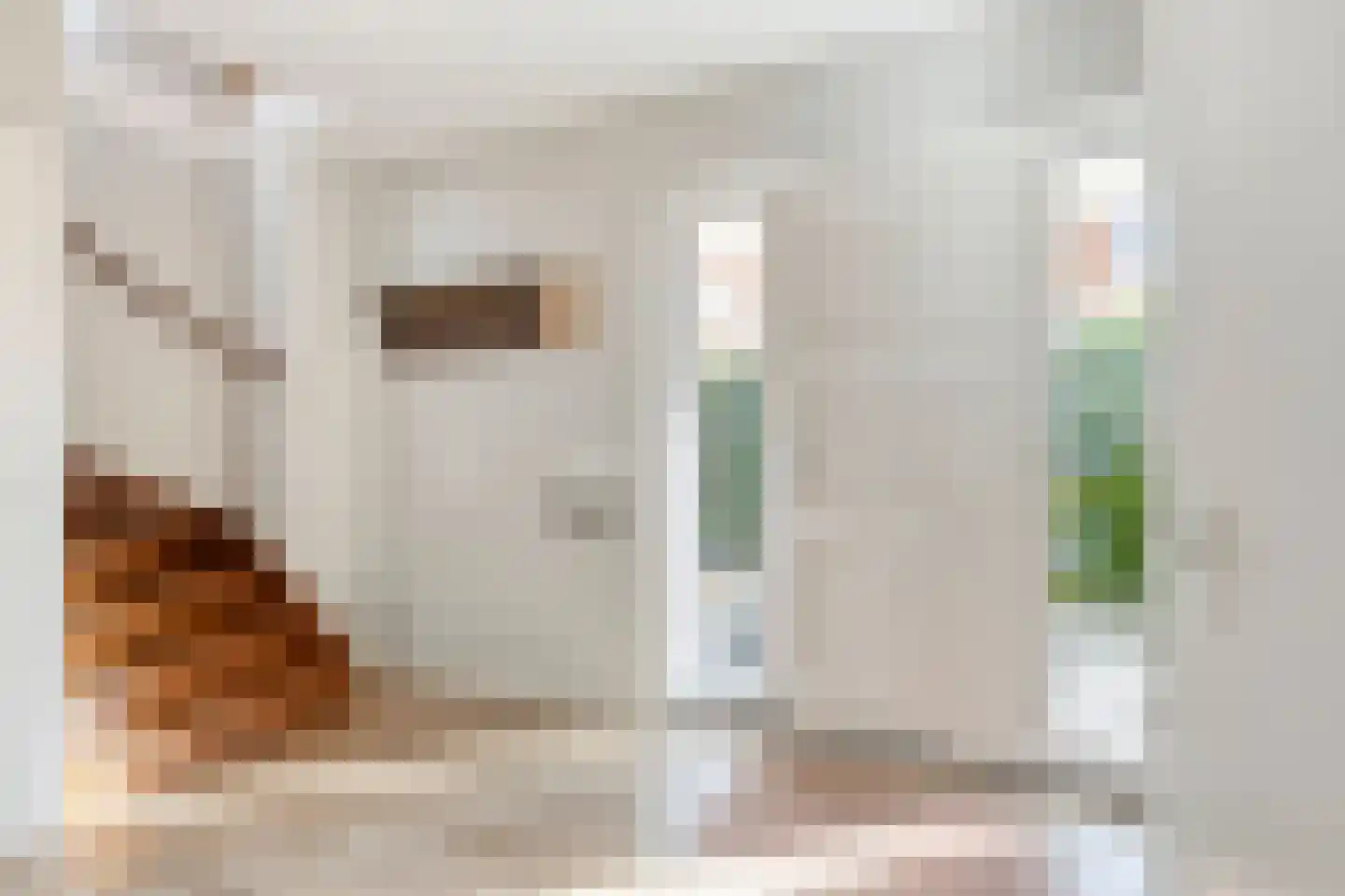 Turfeiker 3 Woubrugge thumbnail 23