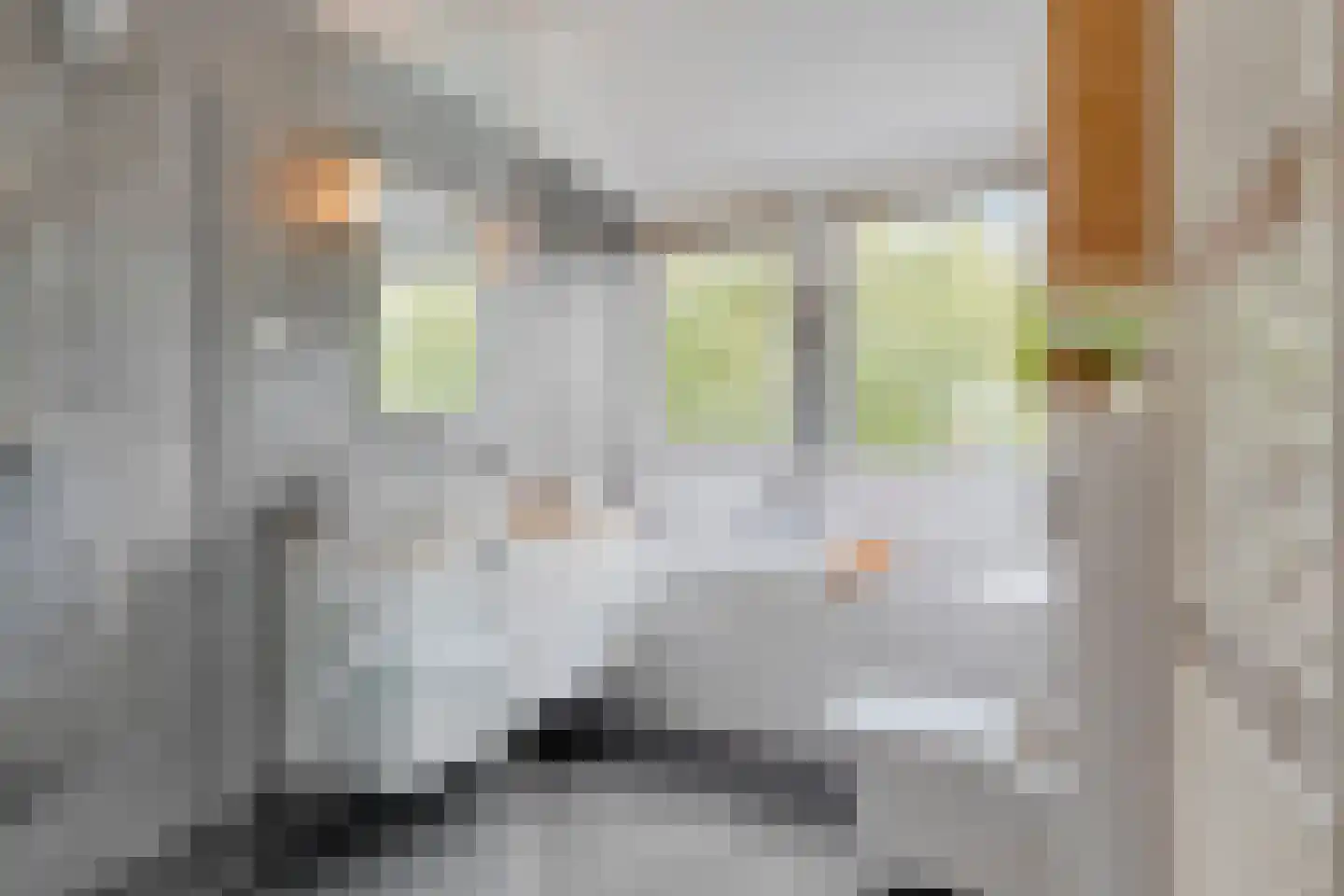 Turfeiker 3 Woubrugge thumbnail 28