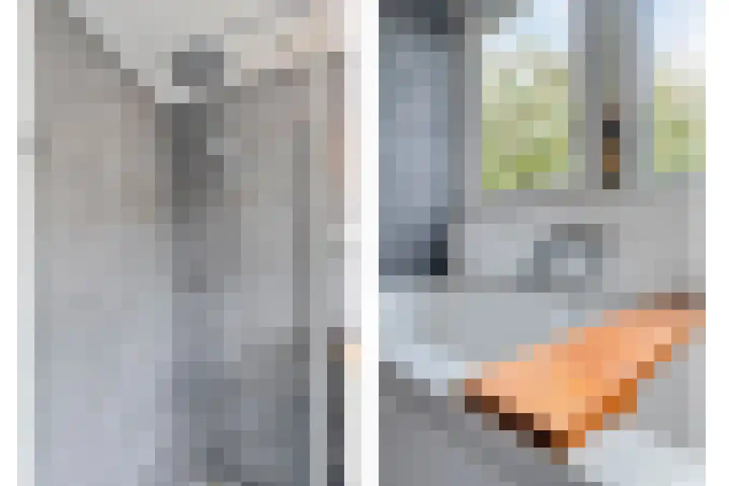 Turfeiker 3 Woubrugge thumbnail 29