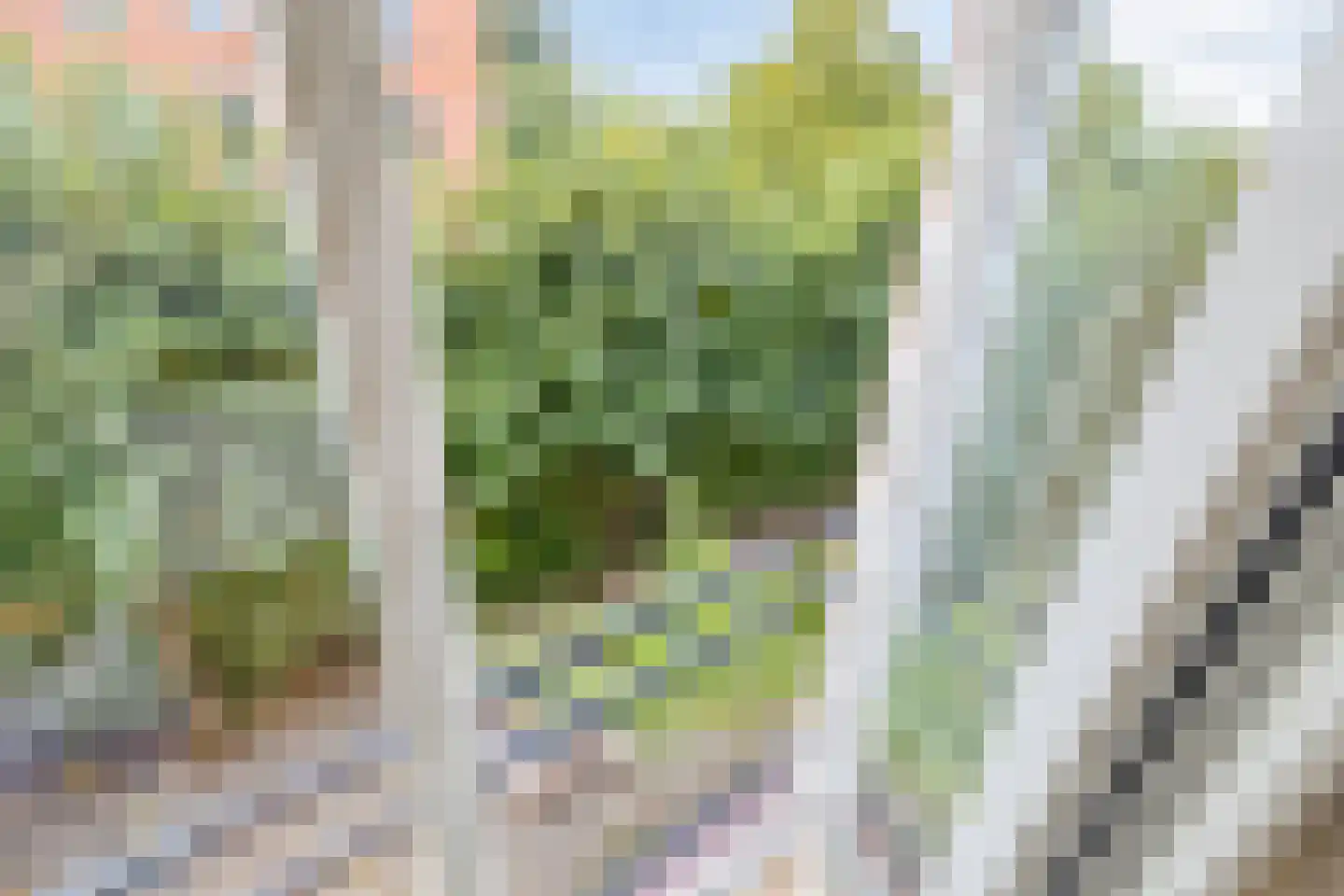 Turfeiker 3 Woubrugge thumbnail 32