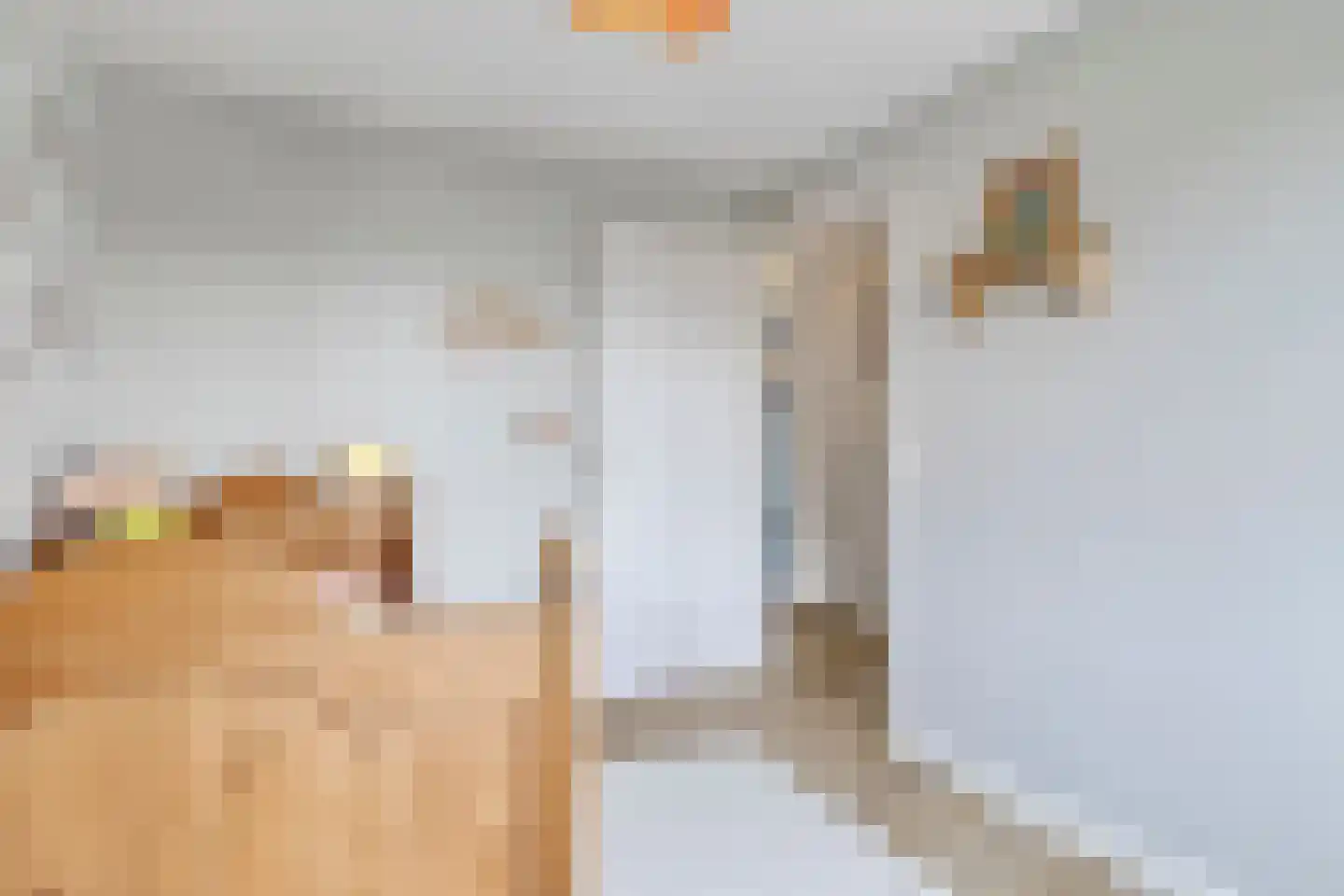 Turfeiker 3 Woubrugge thumbnail 34