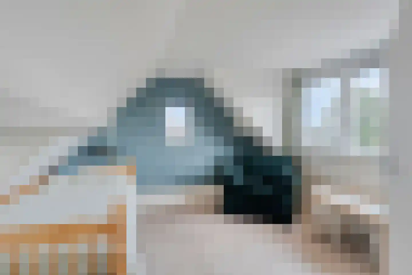 Turfeiker 3 Woubrugge thumbnail 38