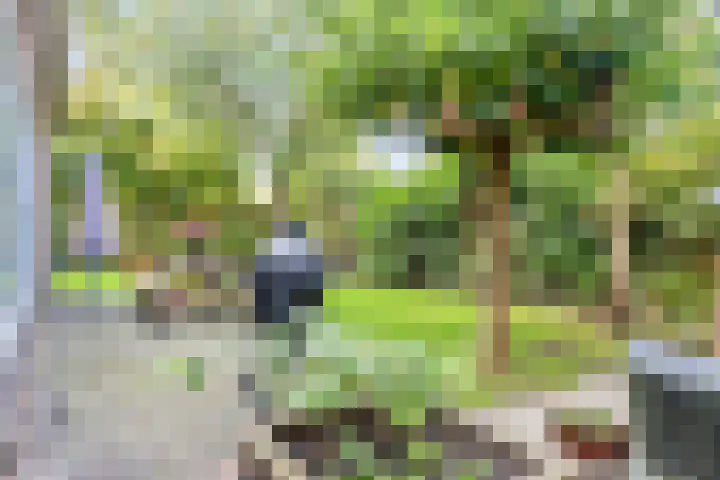 Turfeiker 3 Woubrugge thumbnail 42