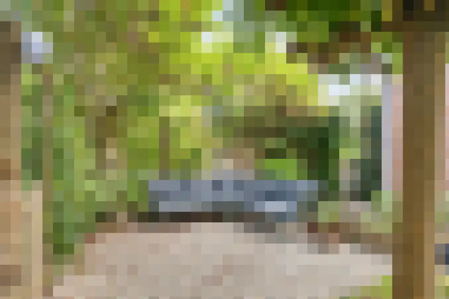 Turfeiker 3 Woubrugge thumbnail 44