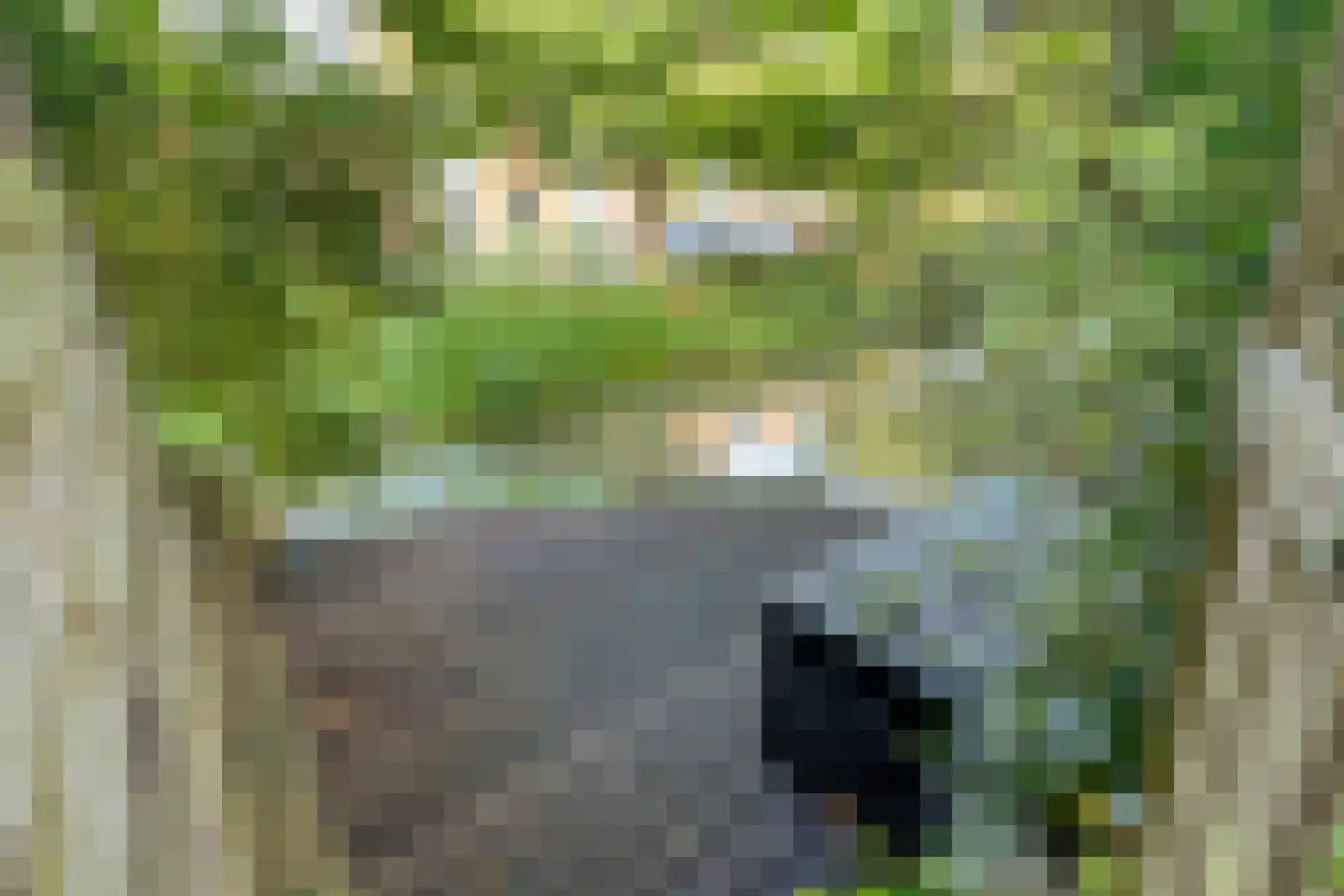 Turfeiker 3 Woubrugge thumbnail 45