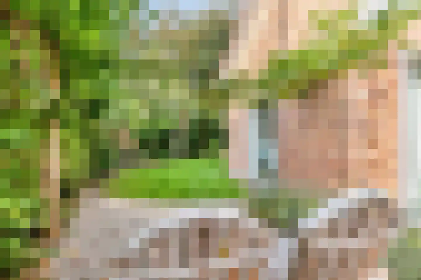 Turfeiker 3 Woubrugge thumbnail 47