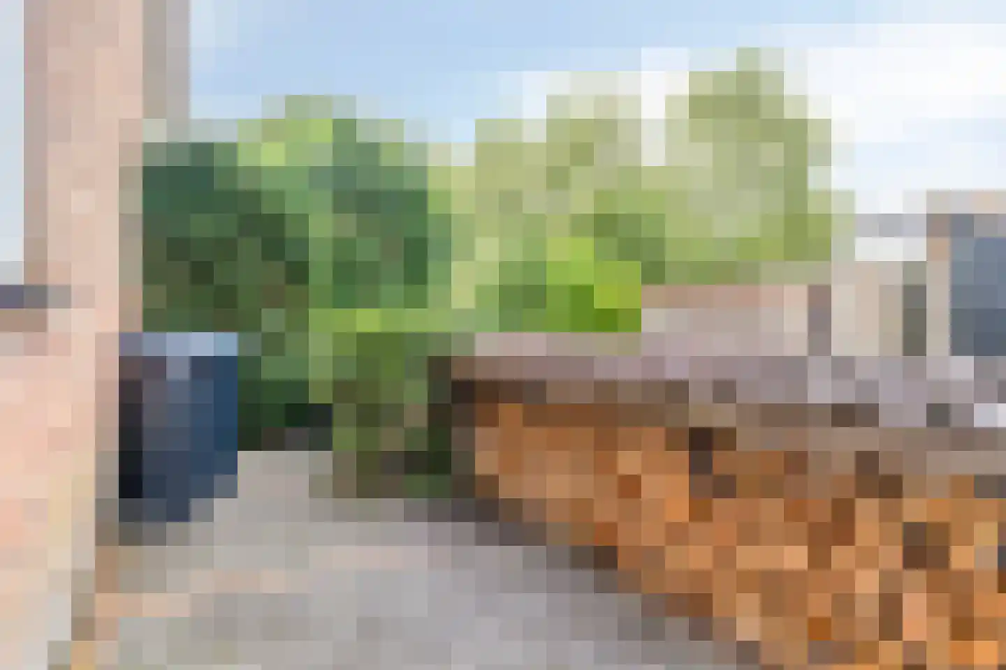 Turfeiker 3 Woubrugge thumbnail 48