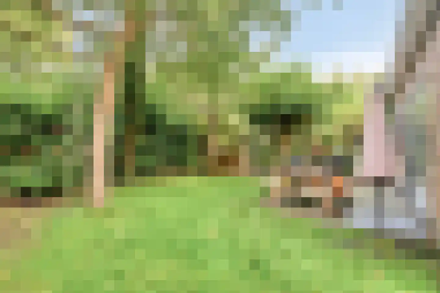 Turfeiker 3 Woubrugge thumbnail 5
