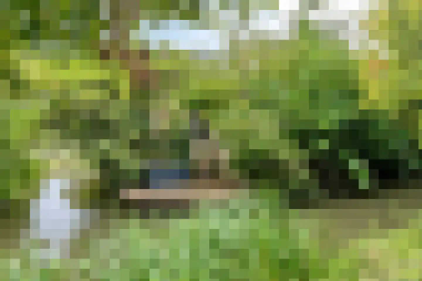 Turfeiker 3 Woubrugge thumbnail 50
