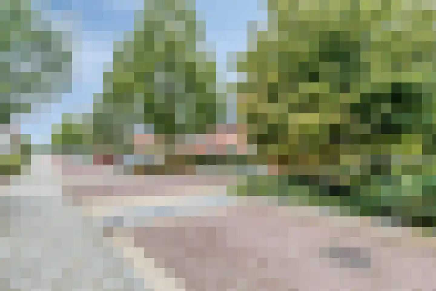 Turfeiker 3 Woubrugge thumbnail 51