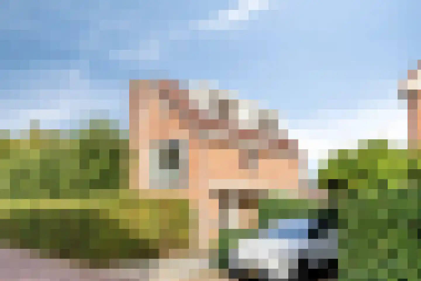 Turfeiker 3 Woubrugge thumbnail 55