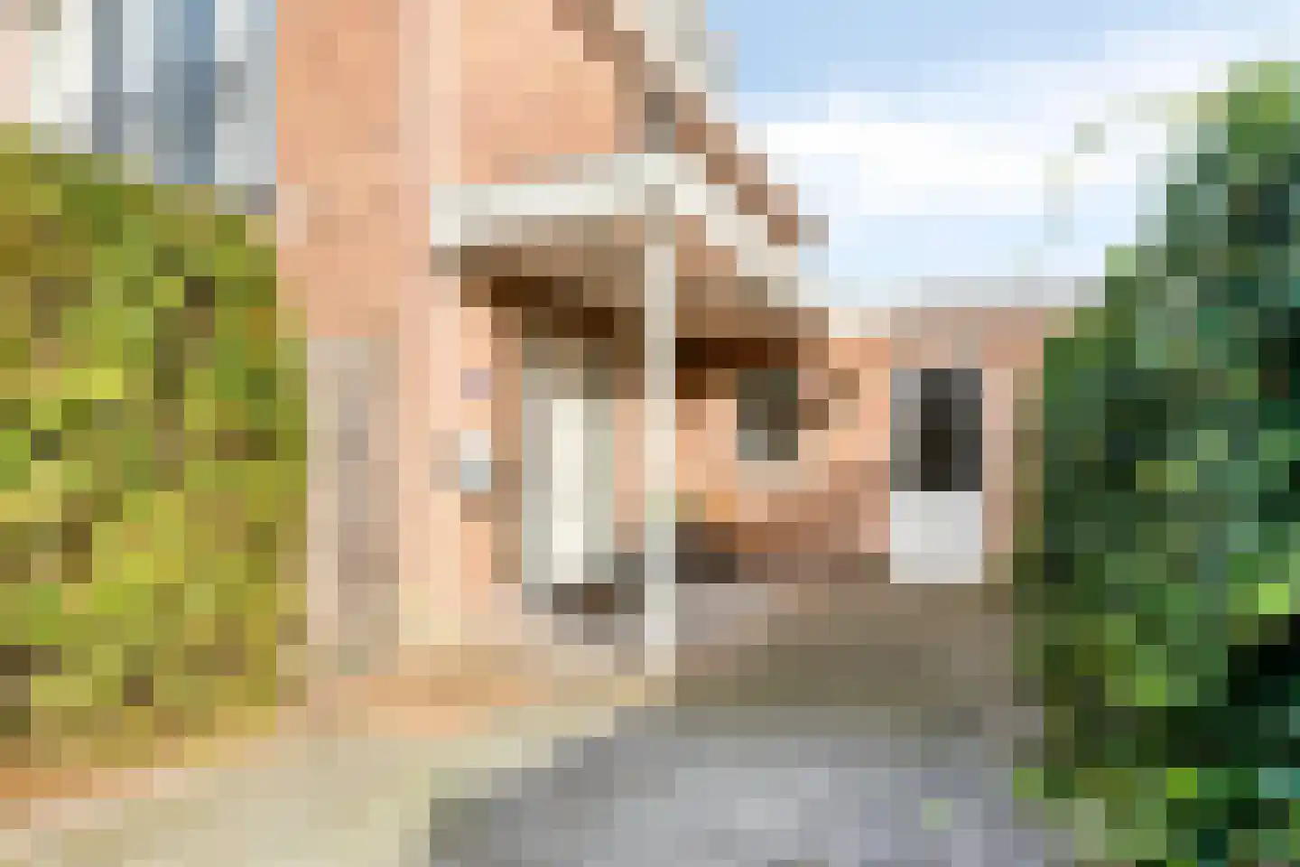 Turfeiker 3 Woubrugge thumbnail 6