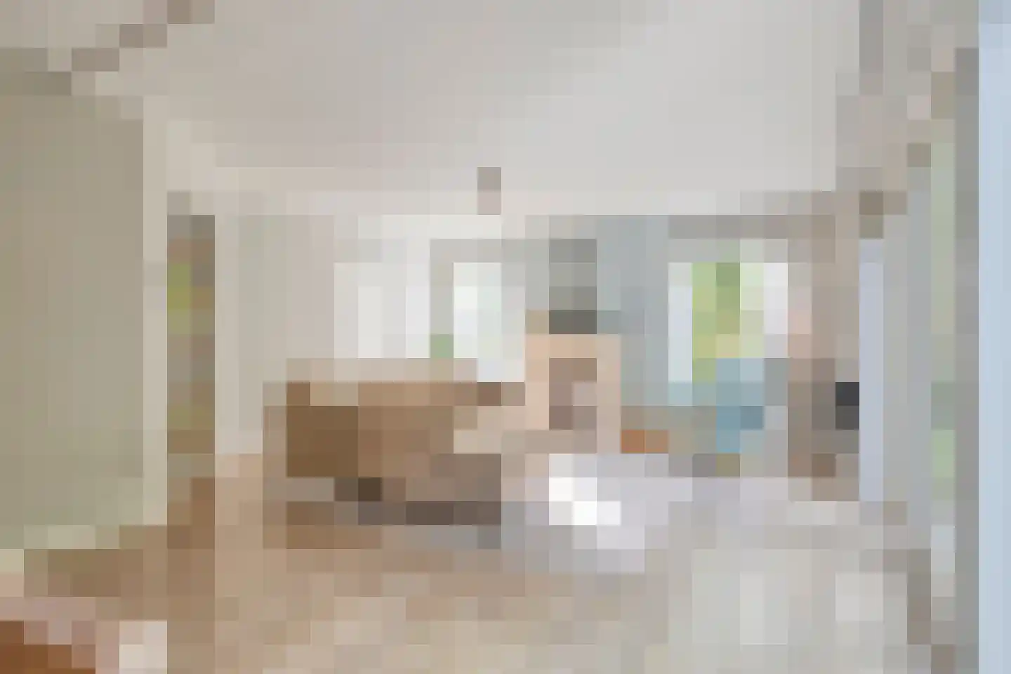 Turfeiker 3 Woubrugge thumbnail 7