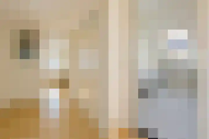 Turfeiker 42 Woubrugge thumbnail 23
