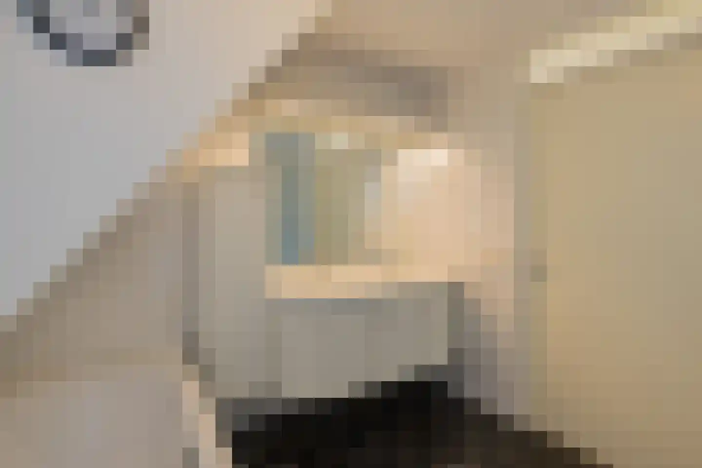 Turfeiker 42 Woubrugge thumbnail 28