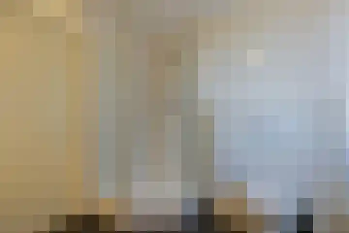 Turfeiker 42 Woubrugge thumbnail 30