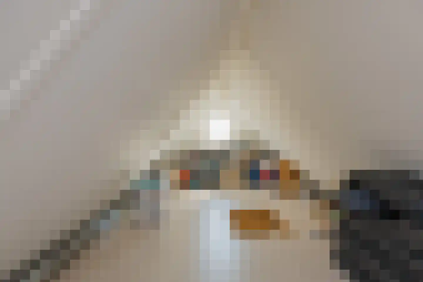 Turfeiker 42 Woubrugge thumbnail 32