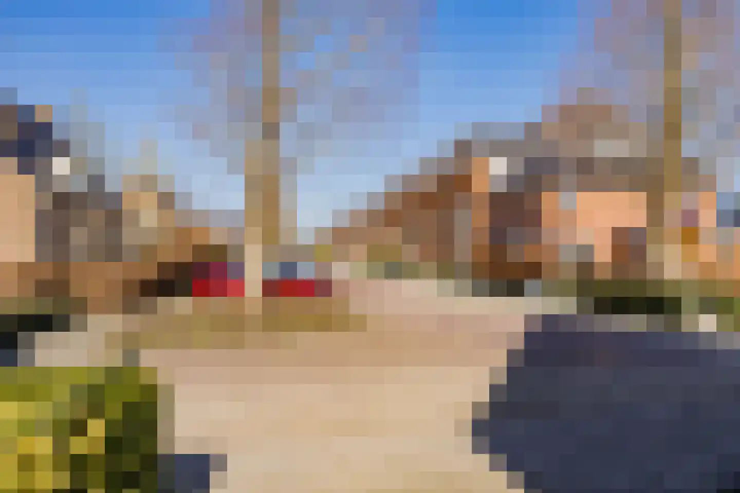 Turfeiker 42 Woubrugge thumbnail 37