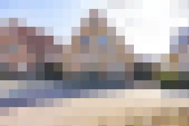 Turfeiker 42 Woubrugge thumbnail 4