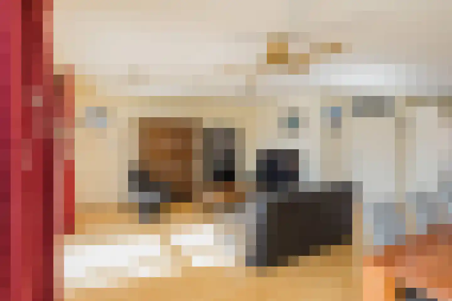 Turfeiker 42 Woubrugge thumbnail 6