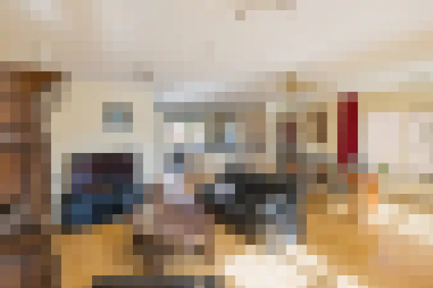 Turfeiker 42 Woubrugge thumbnail 7