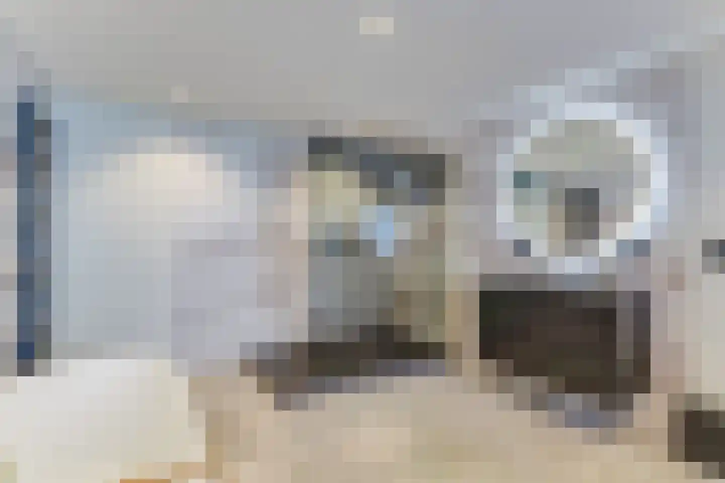 Turfhaven 12 Hoorn thumbnail 22