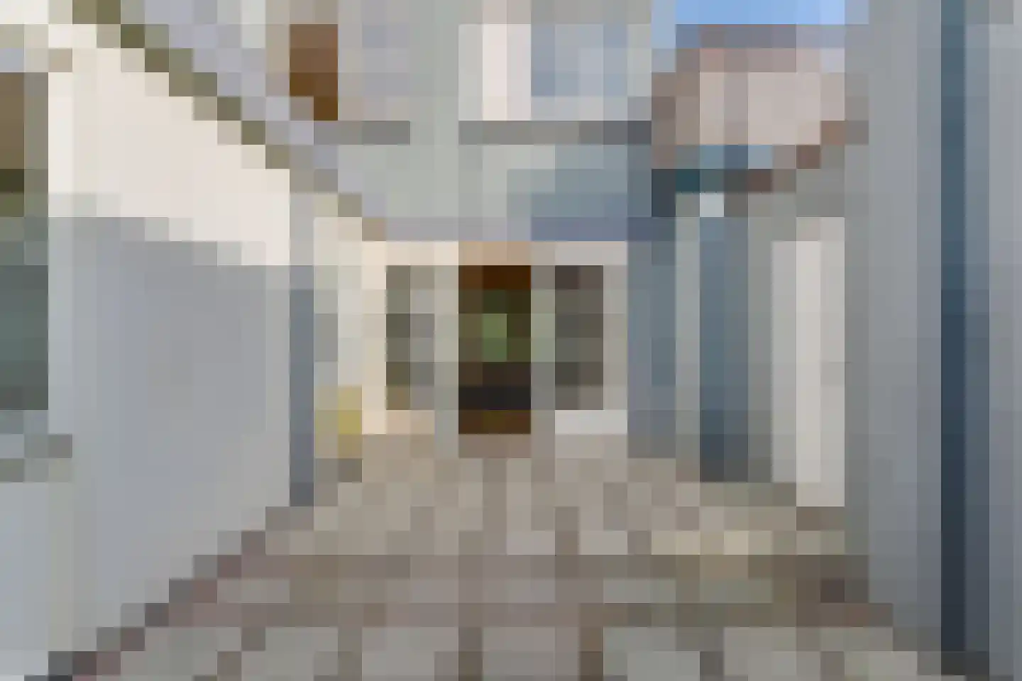 Turfhaven 12 Hoorn thumbnail 26