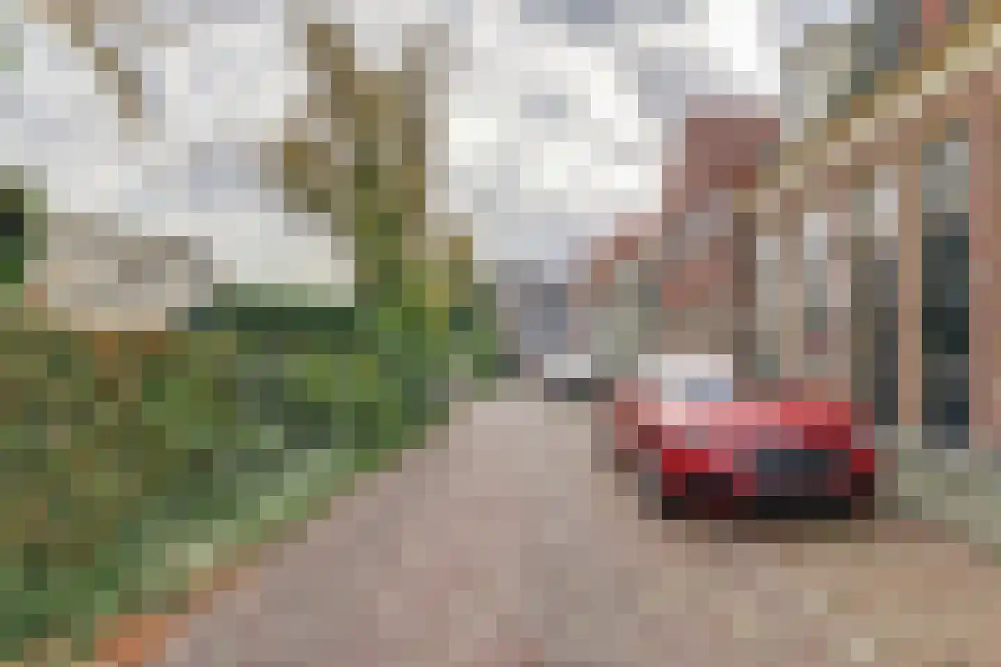Turfhaven 12 Hoorn thumbnail 54