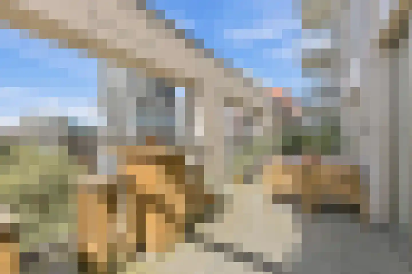 Turfhaven 14 Den Haag thumbnail 13