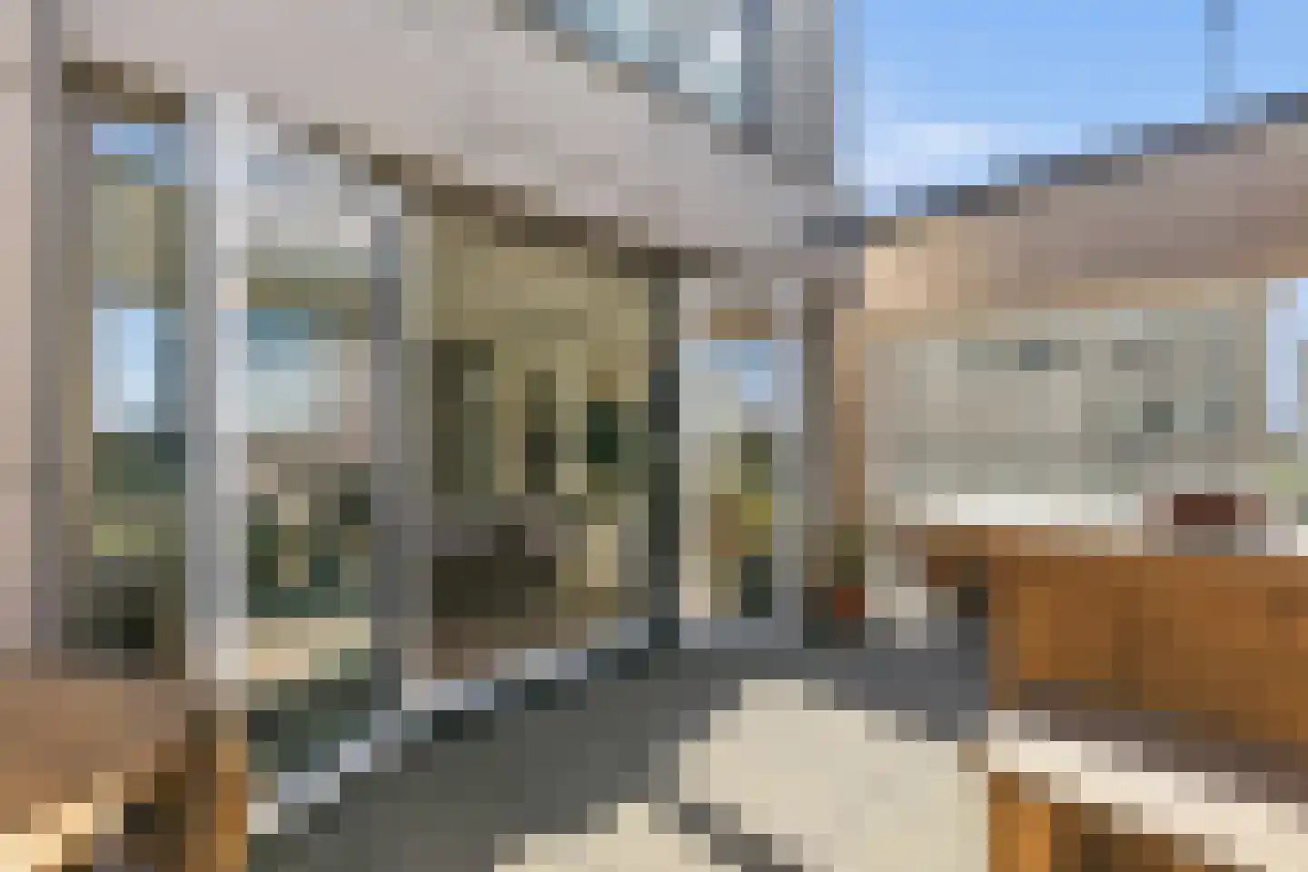 Turfhaven 14 Den Haag thumbnail 14