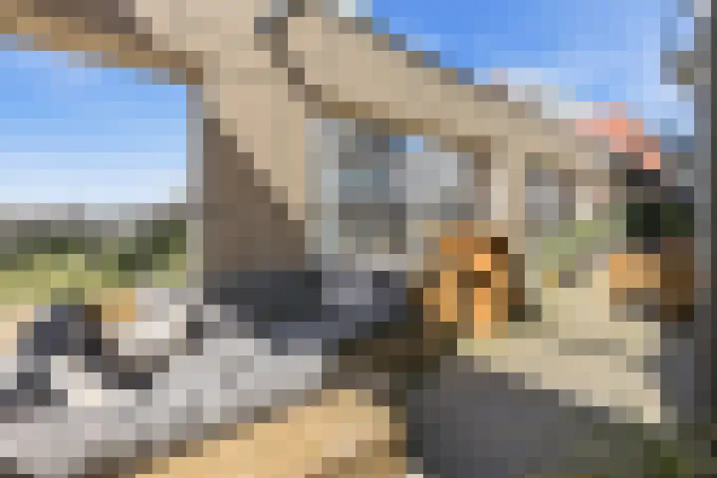 Turfhaven 14 Den Haag thumbnail 15