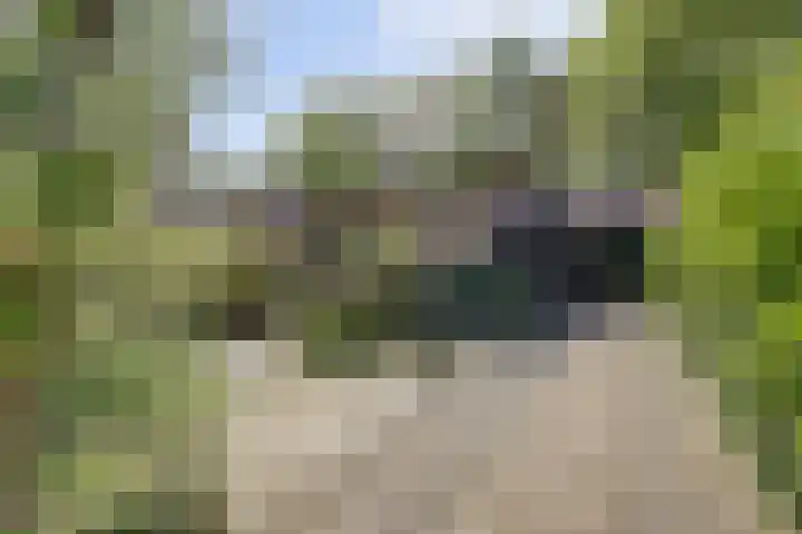 Turfhaven 14 Den Haag thumbnail 17