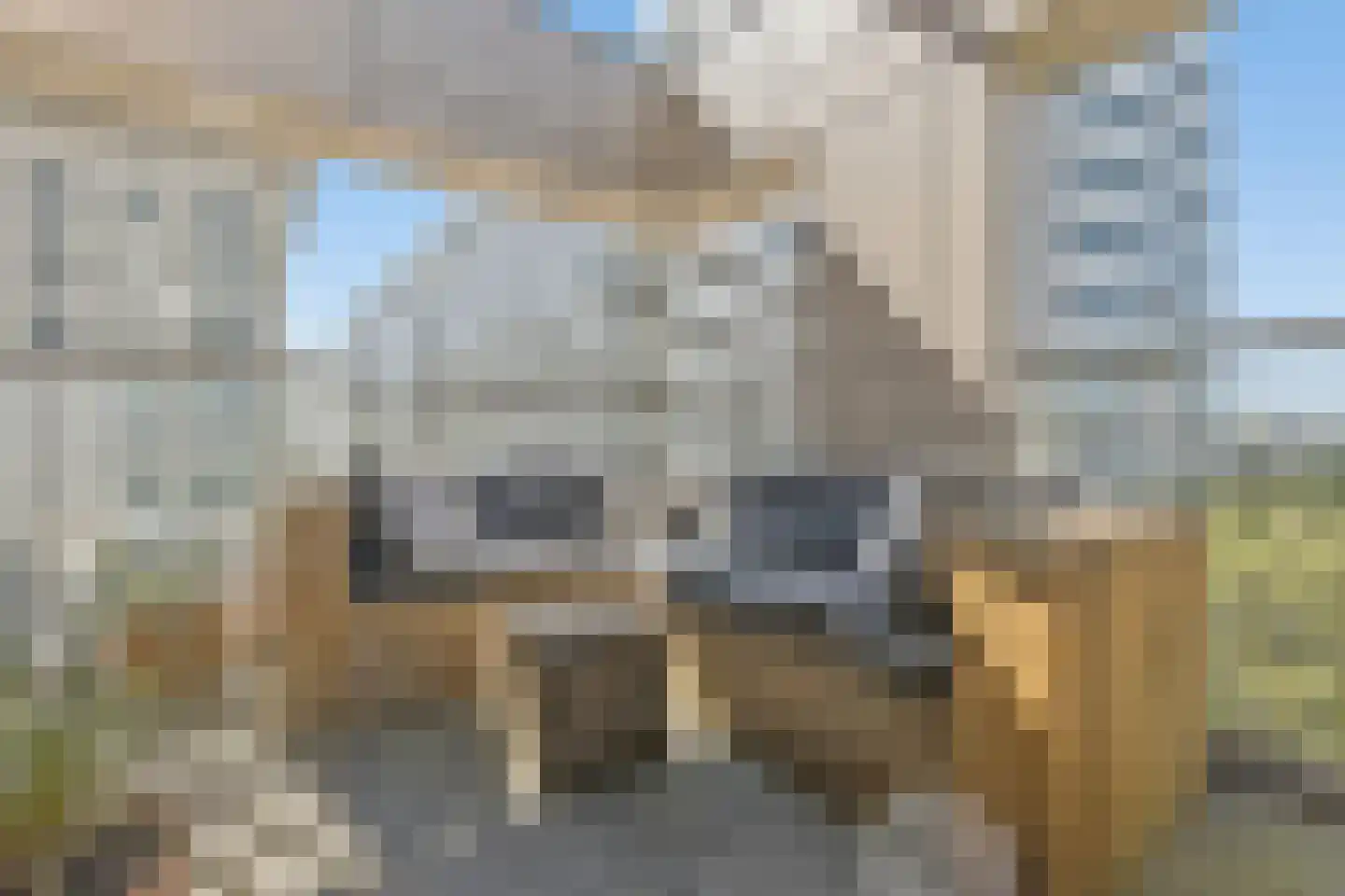 Turfhaven 14 Den Haag thumbnail 17