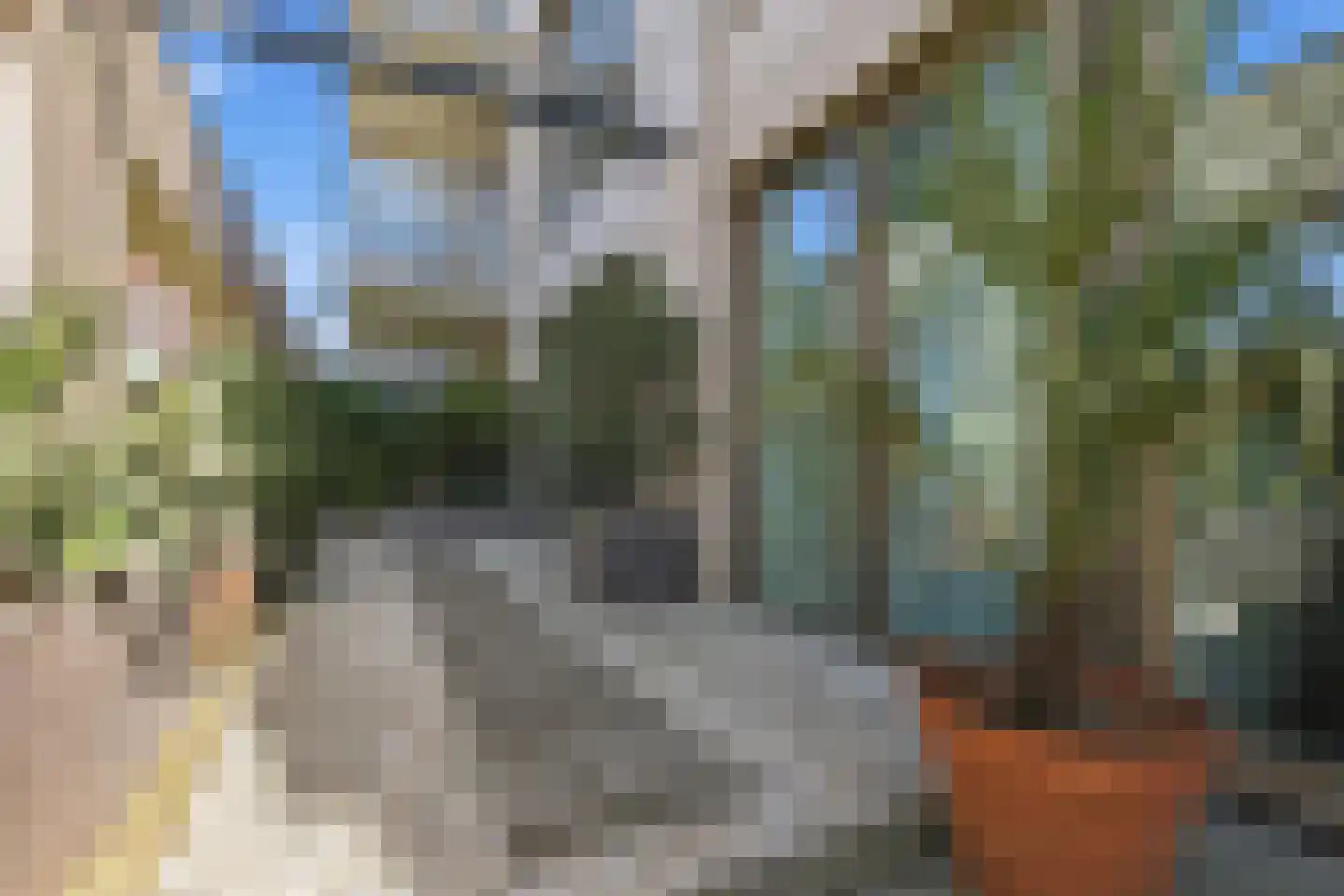Turfhaven 14 Den Haag thumbnail 20