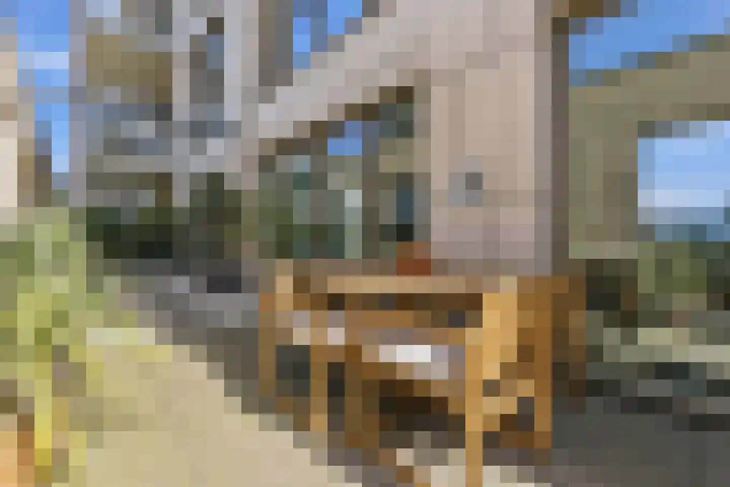 Turfhaven 14 Den Haag thumbnail 22