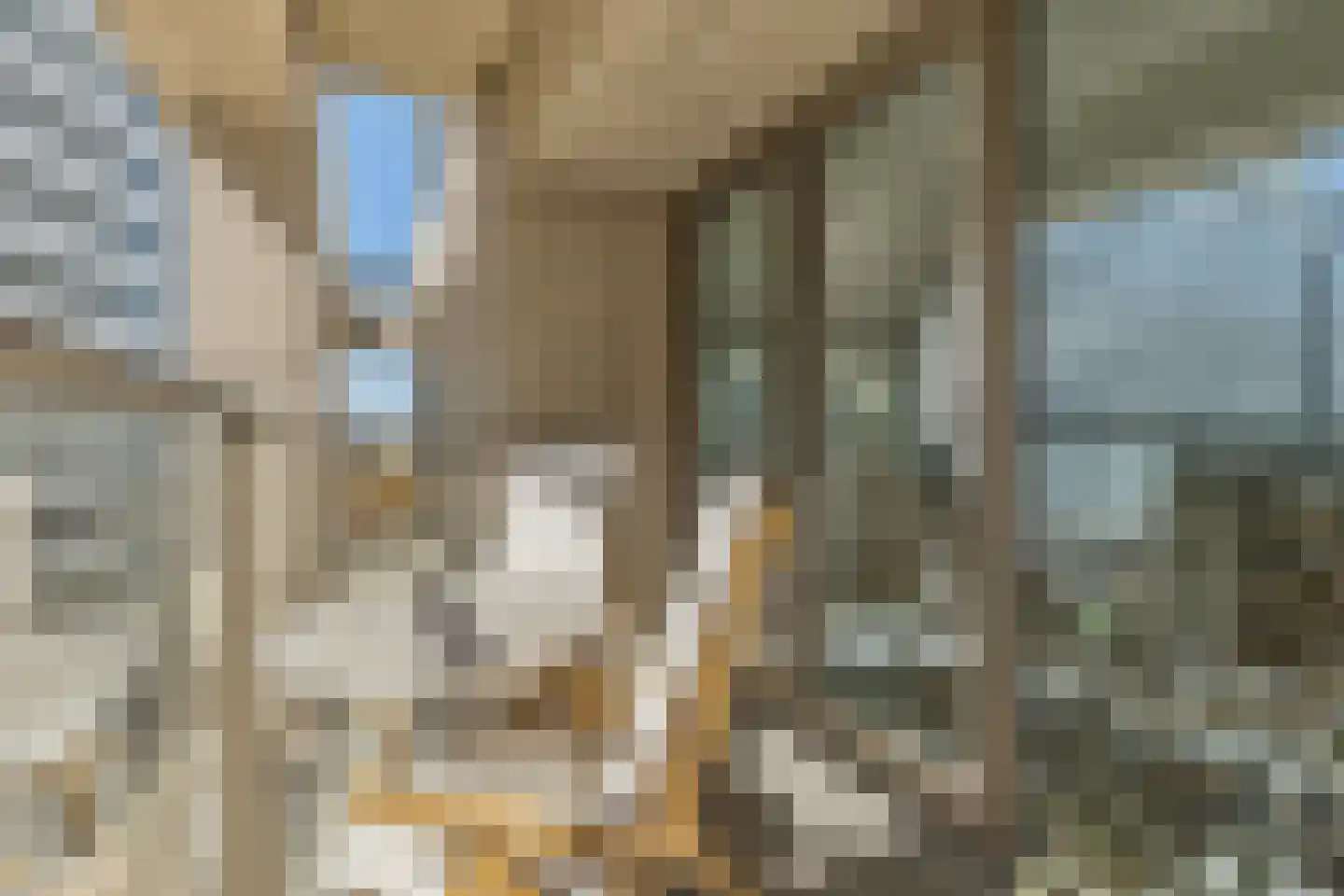 Turfhaven 14 Den Haag thumbnail 25
