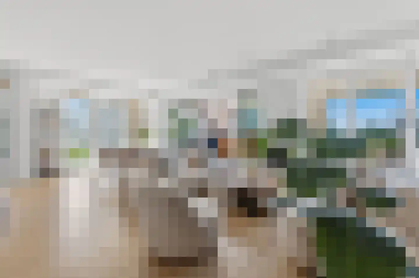 Turfhaven 14 Den Haag thumbnail 5
