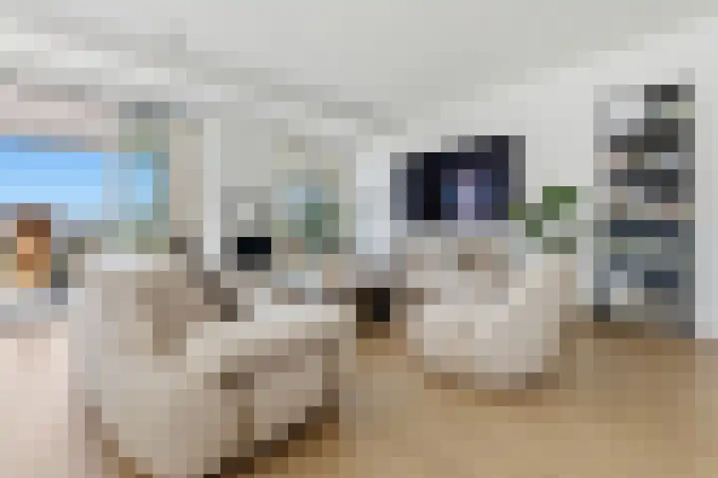 Turfhaven 14 Den Haag thumbnail 6