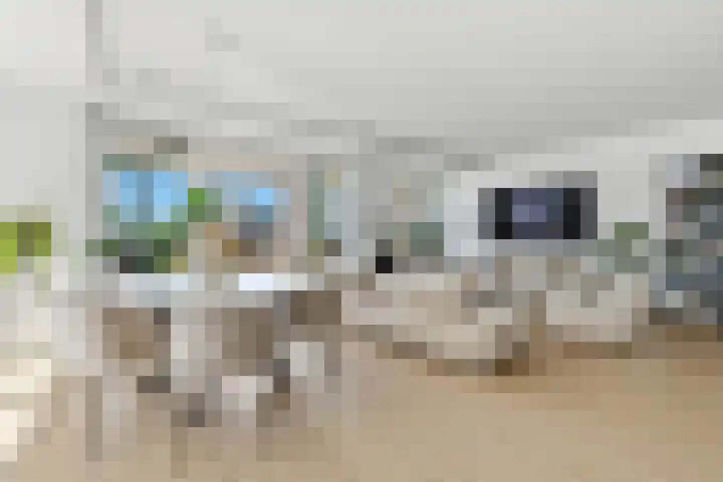 Turfhaven 14 Den Haag thumbnail 9