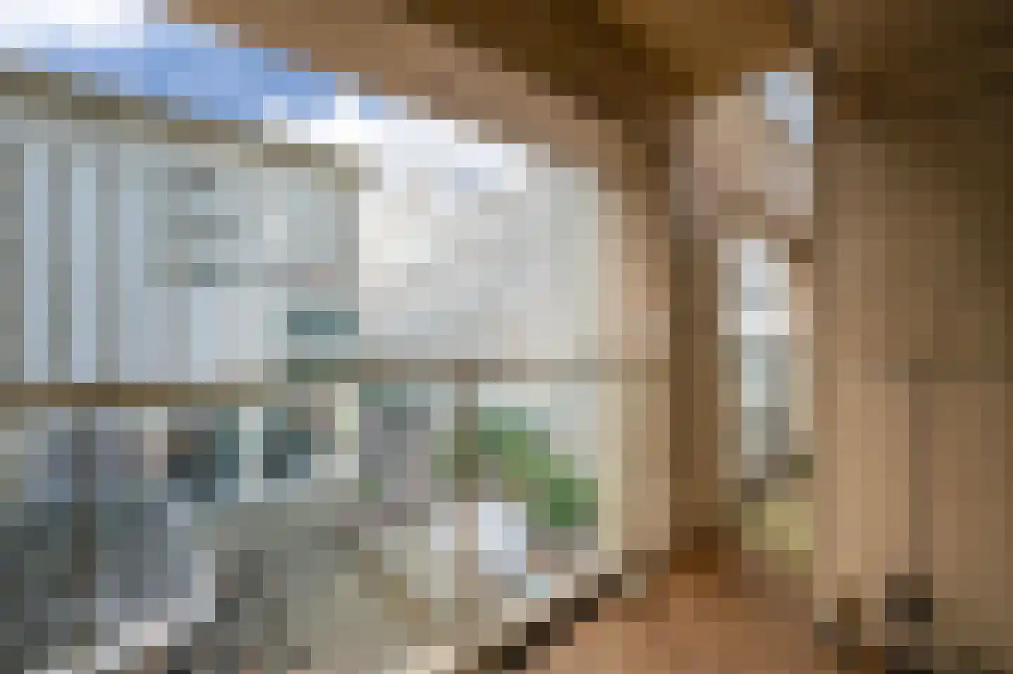 Turfhaven 16 Den Haag thumbnail 4