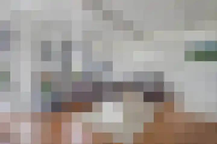 Turfhoekweg 16 Steggerda thumbnail 13