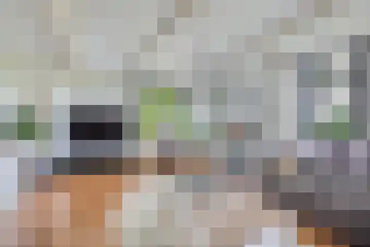 Turfhoekweg 16 Steggerda thumbnail 17