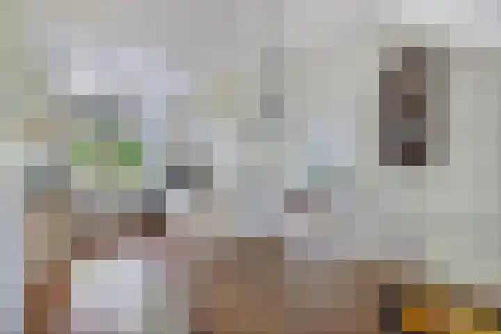 Turfhoekweg 16 Steggerda thumbnail 18