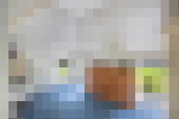 Turfhoekweg 16 Steggerda thumbnail 30