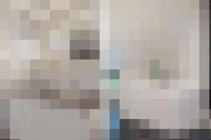 Turfhoekweg 16 Steggerda thumbnail 33