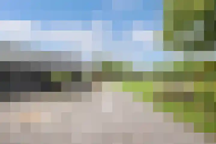 Turfhoekweg 16 Steggerda thumbnail 34