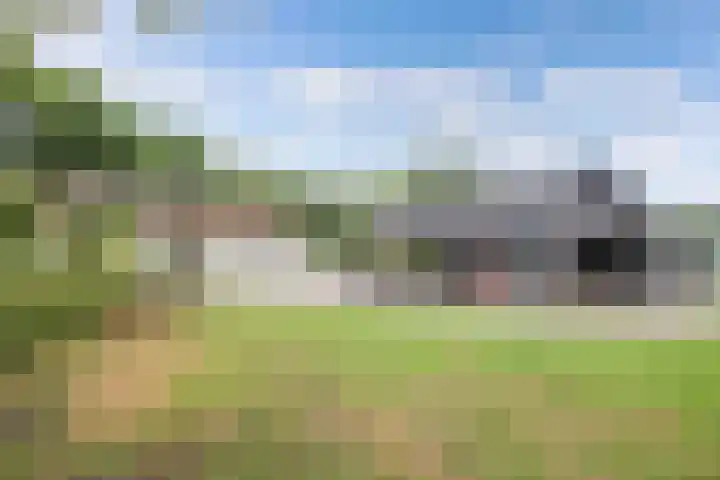 Turfhoekweg 16 Steggerda thumbnail 36