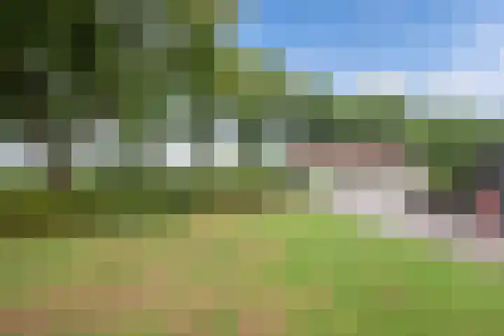 Turfhoekweg 16 Steggerda thumbnail 37